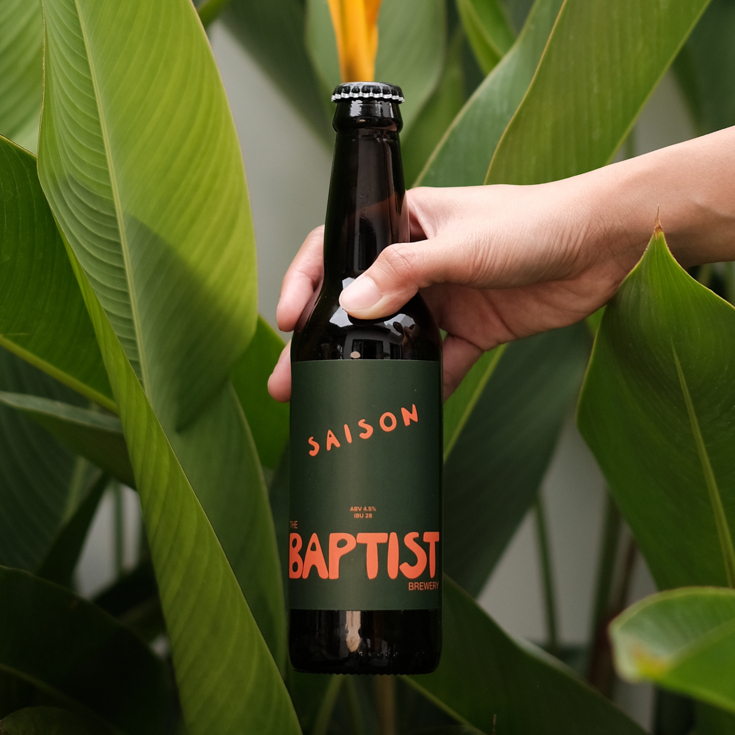 Saison